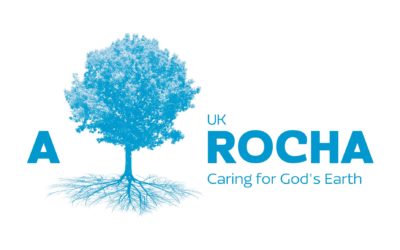 Moldgreen URC receive Silver Eco Award