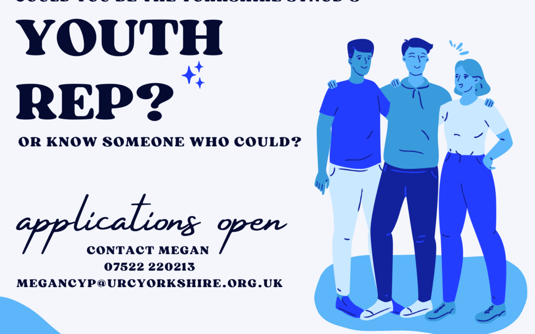 The Yorkshire Synod Youth Rep: What is it and could it be me?