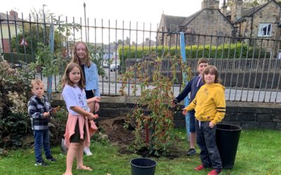 Tree planting at Heckmondwike URC