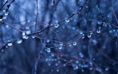 News Briefing No. 99 – 5th January 2023