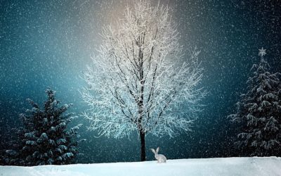 News Briefing No. 98 – 15th December 2022