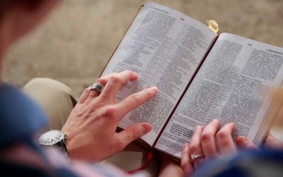 What you always wanted to know about the Bible but were afraid to ask…
