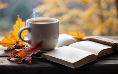 News Briefing No. 164 – 27th November 2025