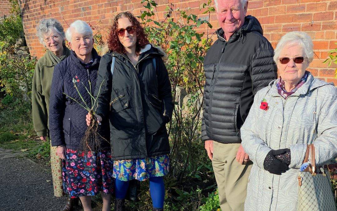 Nurturing Creation: A Small Act with Growing Roots