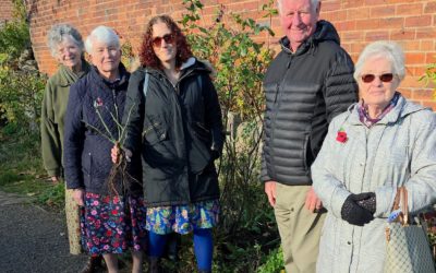 Nurturing Creation: A Small Act with Growing Roots