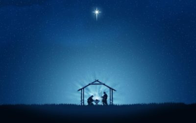 News Briefing No. 165 – 17th December 2025