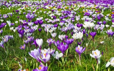 News Briefing No. 169 – 5th March 2026