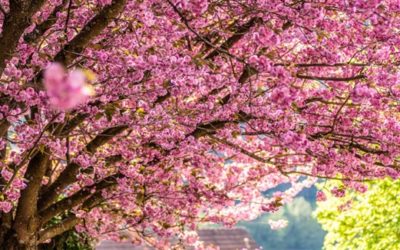 News Briefing No. 172 – 16th April 2026