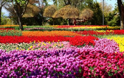 News Briefing No. 173 – 30th April 2026